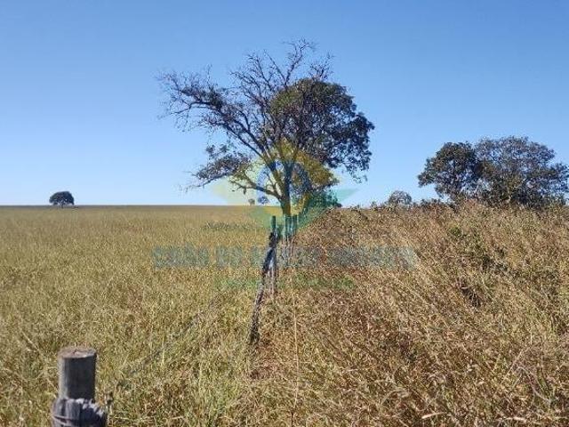 Sítio Camapuã