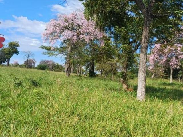 Fazenda, Zona Rural, Iaciara, GO