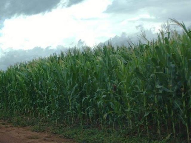Fazenda