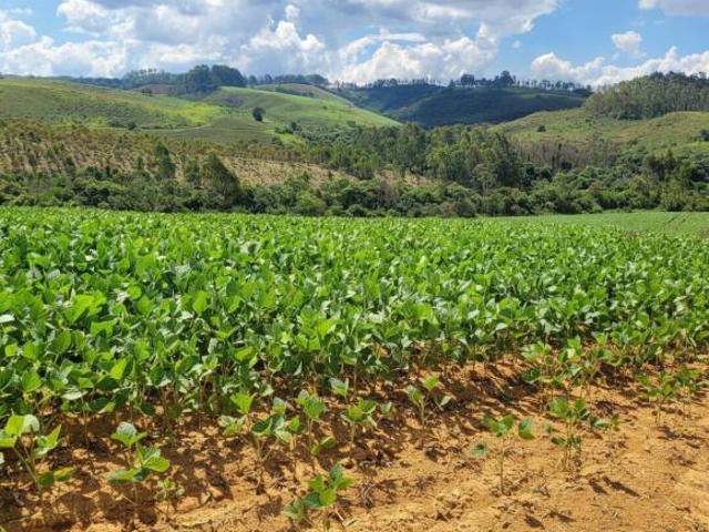 Fazenda 142,78 ha à venda em Área Rural, Caldas
