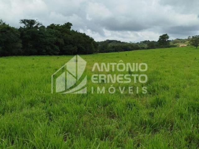 FAZENDA 142 HECTARES, CURVRLO/MG