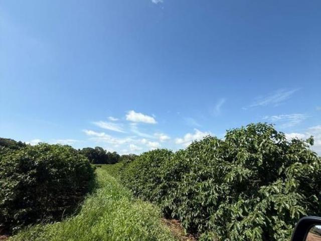 Fazenda
