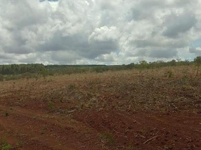 Fazenda 147 hectares localizada em Francisco Sá/MG