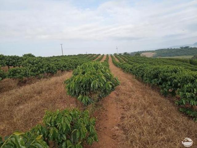 Fazenda