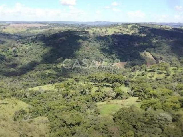 Fazenda / 145 alqueires / Bonfinópolis – GO