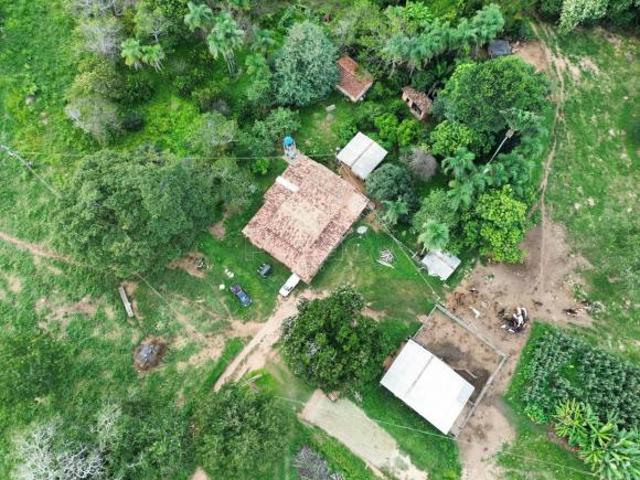 Fazenda