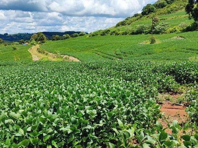 Fazenda