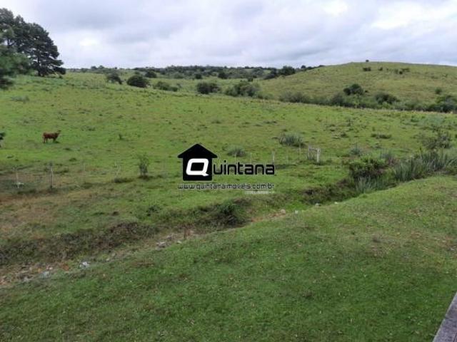 FAZENDA 1500 HECTARES EM PINHEIRO MACHADO