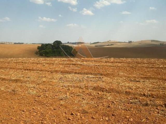 Fazenda