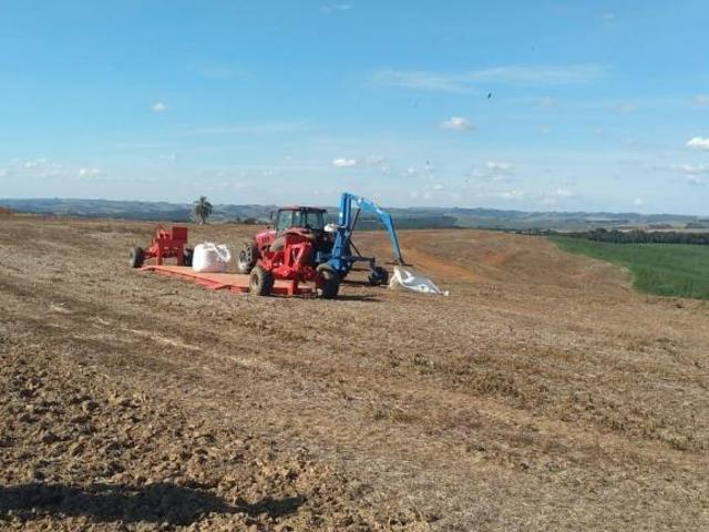 Fazenda 152 Alqueires, Boa de Água com Riachos e Poços Naturais, 110 Alqueires em Área Plantada, 12