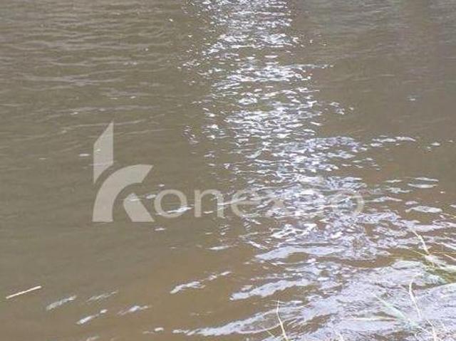 Fazenda 154 Hectares Com Pasto Formado e Magueiro Para Pecuária em Lorena/SP