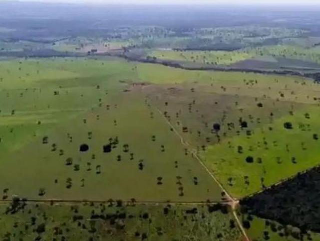 Fazenda 1556 hectares localizada em Corinto/MG