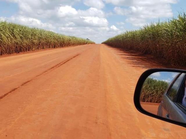 Fazenda 156 Alqueires, 124 Alqueires em Cana, Terra Boa e Plana, Benfeitorias Simples, Beira de Asfa