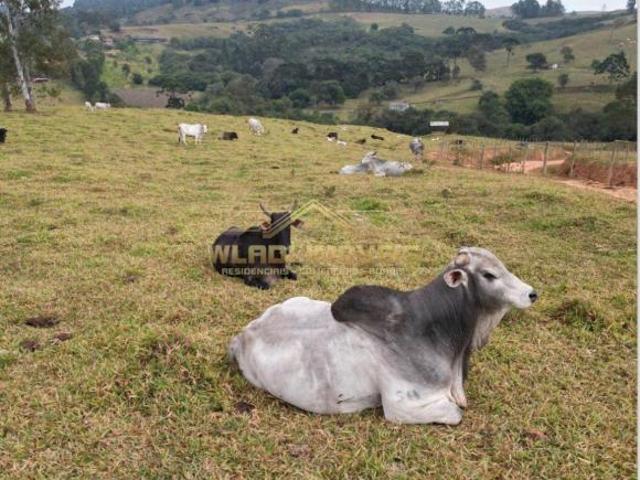 Fazenda