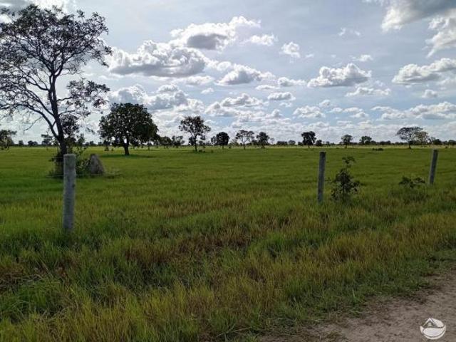 Fazenda