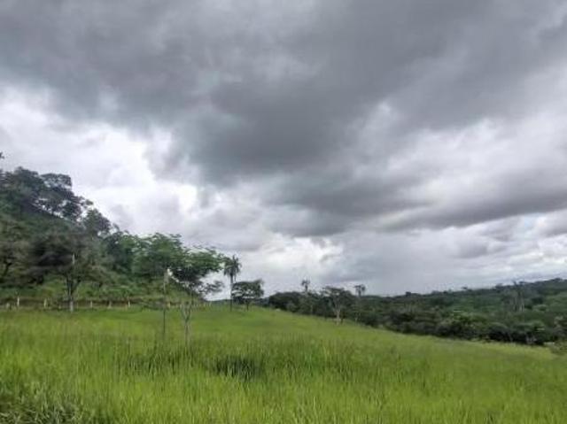 Fazenda