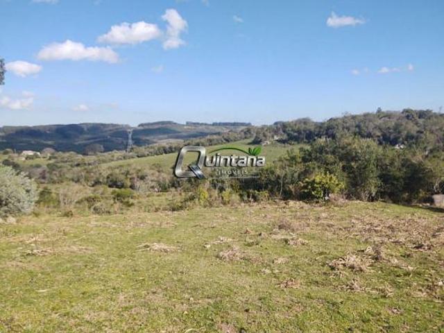 Fazenda 160 Hectares em Piratini, R$ 5.600.000, FÁCIL ACESSO