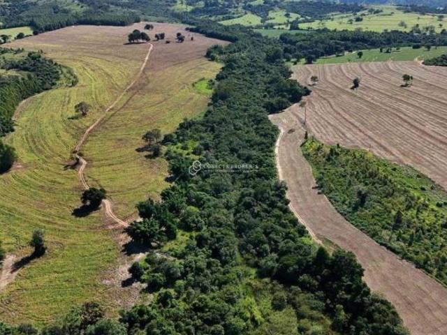 Fazenda