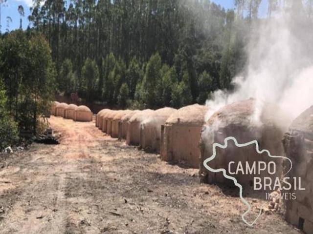 FAZENDA 165 HECTARES EM CARVALHOS COM POTENCIAL TURÍSTICO E CARVOEIRO!