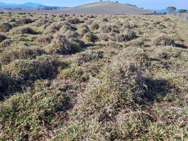 Fazenda