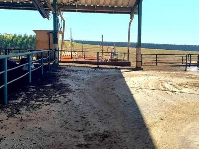 Fazenda