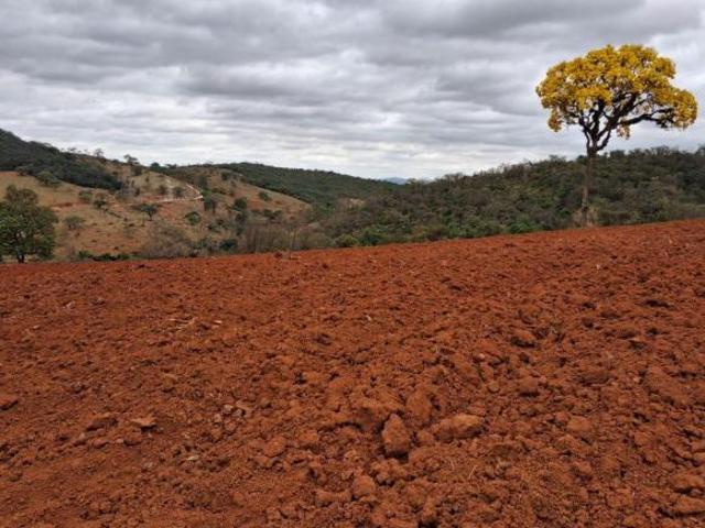 Fazenda 176 hectares localizada em São Jose da Varginha/MG