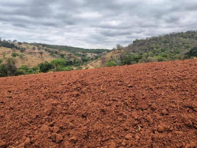 Fazenda 176 hectares São José da Varginha MG