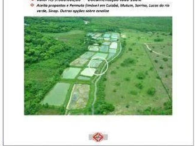 Fazenda