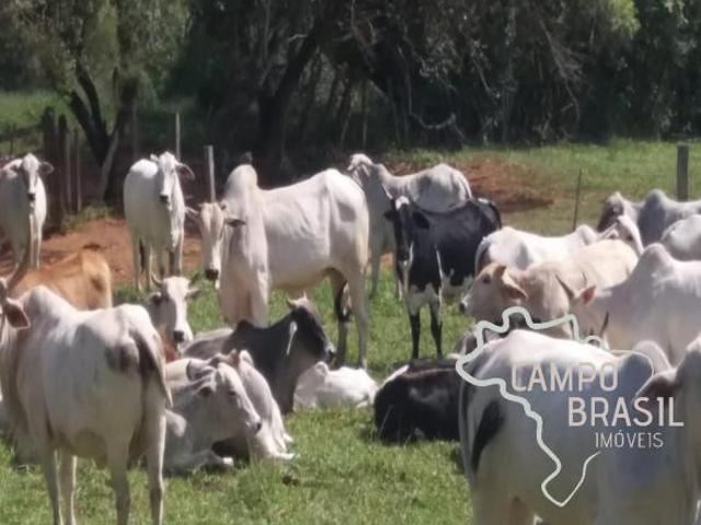 FAZENDA 178 HECTARES NO SUL DE MINAS COM POTENCIAL PARA CULTURA A 4 KM DO ASFALTO!
