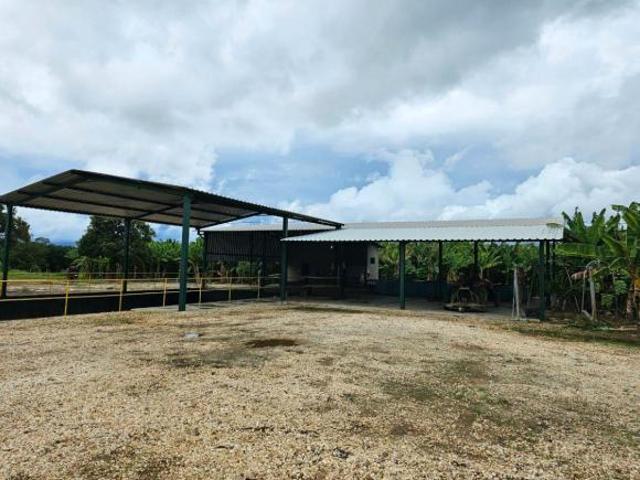Fazenda 180 hectares localizada em Pirapora/MG