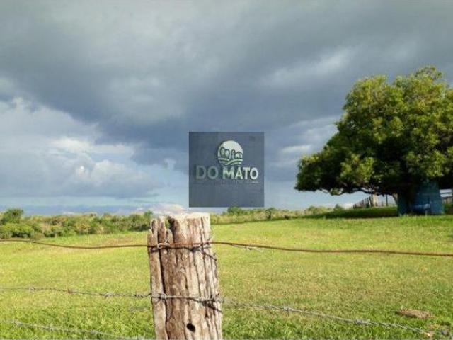 FAZENDA 180 HECTARES PECUARIA EM SAO GABRIEL.