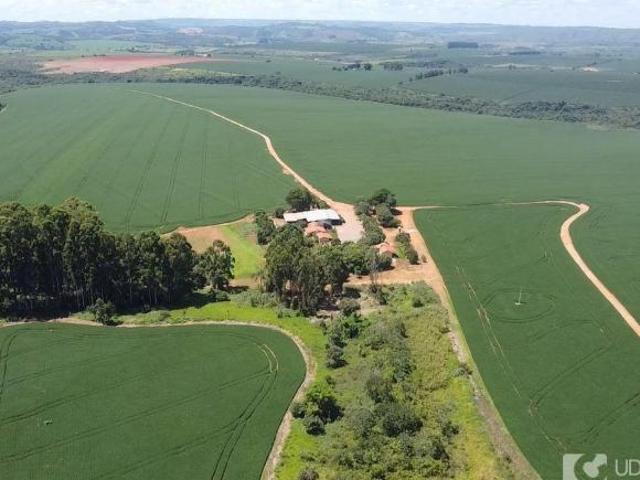 Fazenda para venda em Centro, Serra do Salitre