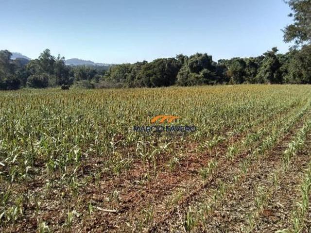 Fazenda