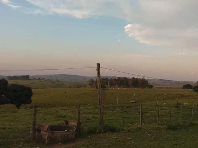 Fazenda 182 hectares Ribeirão Claro divisa com Jacarezinho Paraná