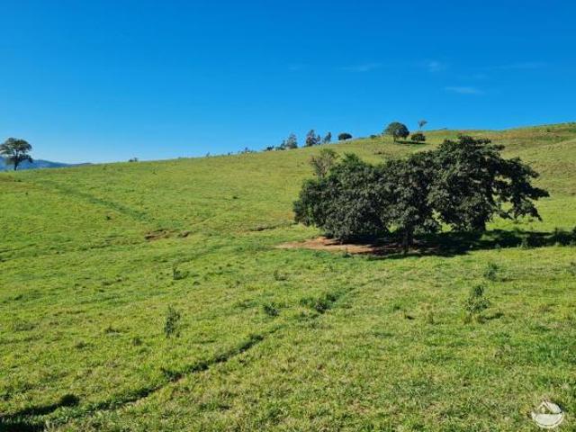 Fazenda
