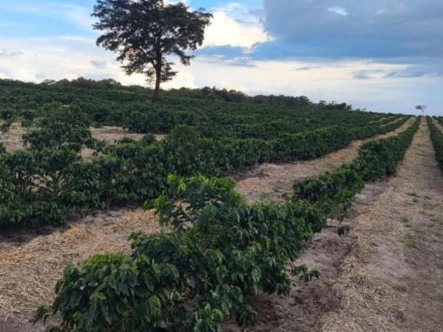 Fazenda