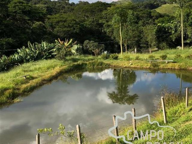 FAZENDA 190 HECTARES FIM DE LINHA TRAQUILA E SEGURA APTDÃO PARA PECUARIA !