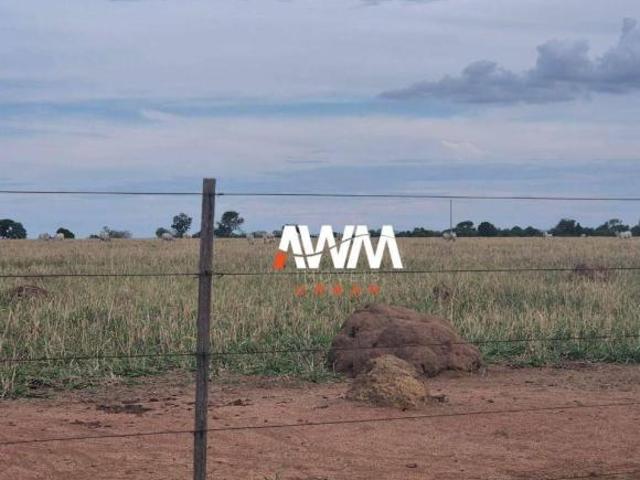 Fazenda