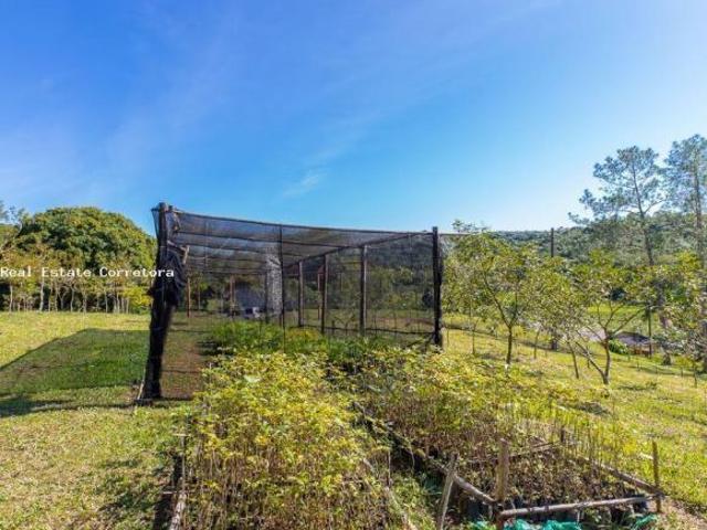 Fazenda