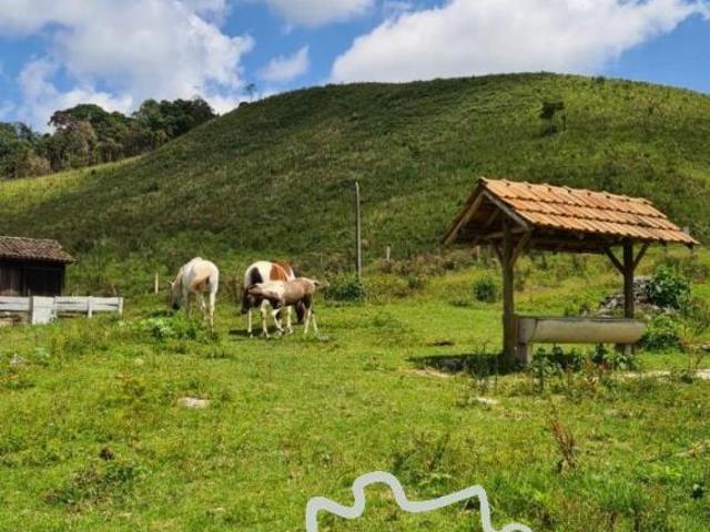 FAZENDA 100 ALQUEIRES EM PASSA VINTE MG !