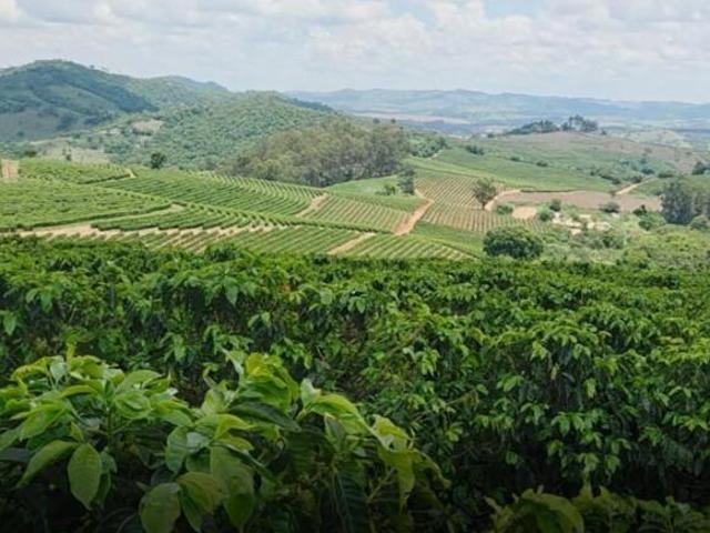 Fazenda