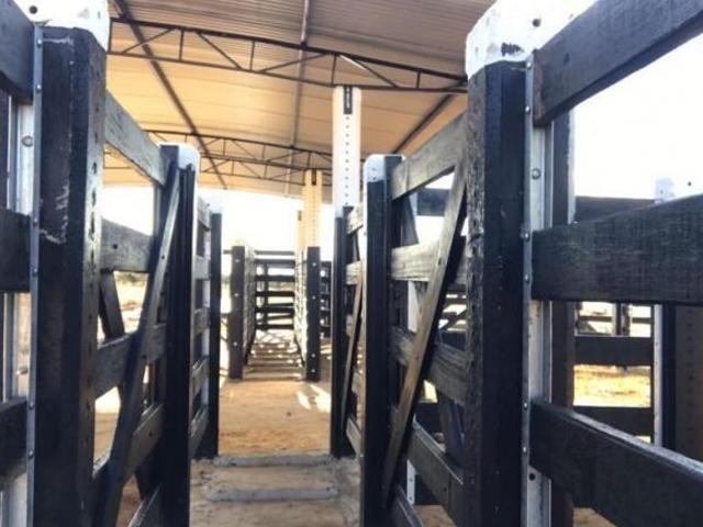 Fazenda 1041 Hectares Buriti Queimado são 4 escrituras. Distante 45 km de Arinos 10 km asfalto 300