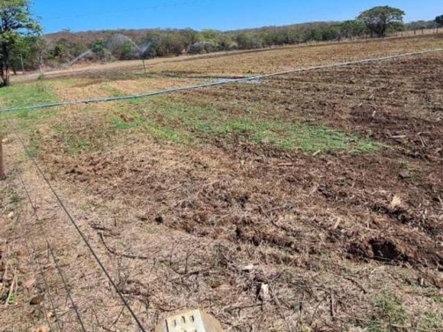 Fazenda 113 hectares a 23 km de Corinto/MG