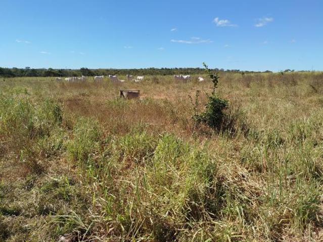 Fazenda 113 hectares Morro Da Garça
