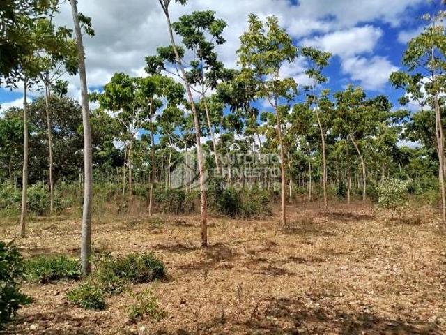 Fazenda 112,45 Hectares, Corinto/MG