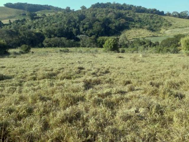 Fazenda