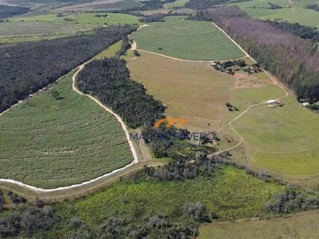 Fazenda
