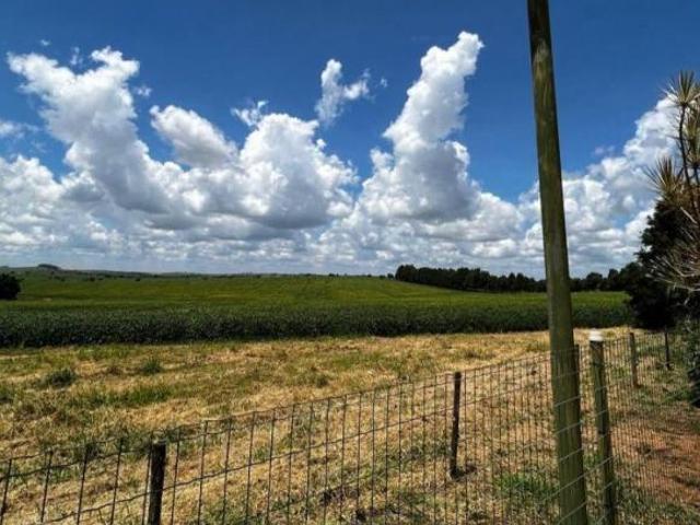 Fazenda