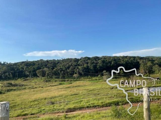 FAZENDA 127 HECTARES ! ÓTIMA LOCALIZAÇÃO E TOPOGRAFIA MÉDIA !