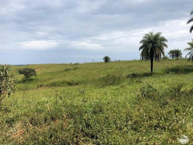 Fazenda